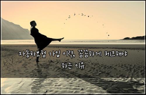 자동차보험 가입 이력, 꼼꼼하게 체크해야 하는 이유