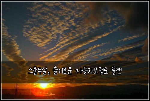  스물두살, 슬기로운 자동차보험료 플랜