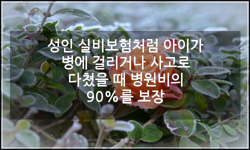 오늘의 이미지