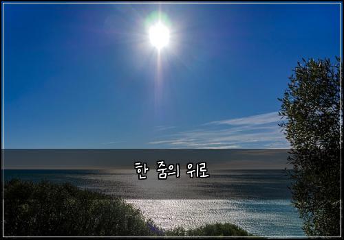 한 줌의 위로