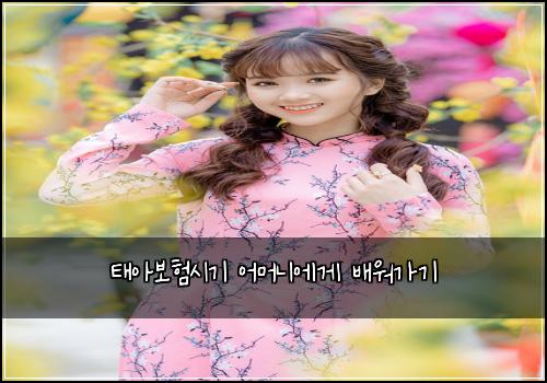 태아보험시기 어머니에게 배워가기