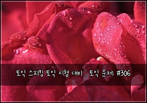 토익 스피킹 토익 시험 대비 : 토익 문제 #306