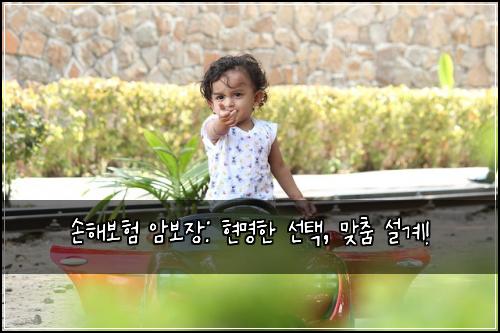 손해보험 암보장: 현명한 선택, 맞춤 설계!