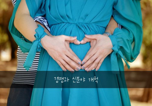 경쟁과 신분야 개척