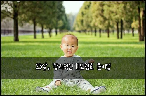 23살, 합리적인 車보험료 준비법