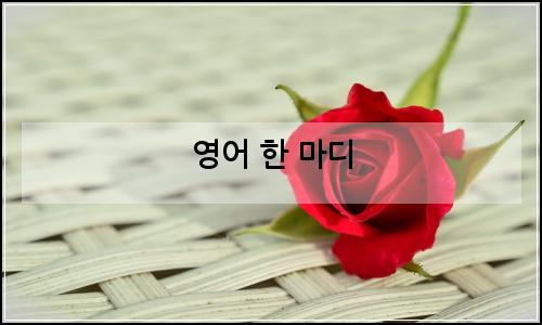 오늘의 이미지