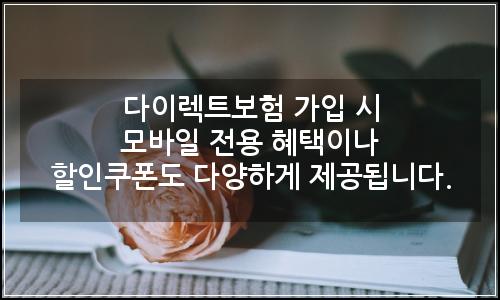 오늘의 이미지