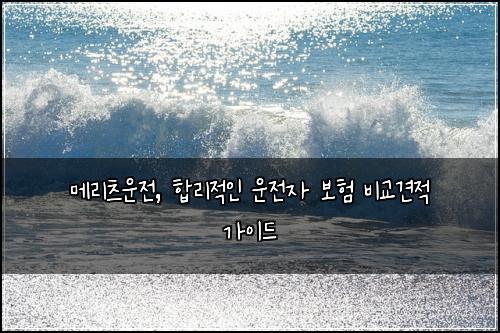 메리츠운전, 합리적인 운전자 보험 비교견적 가이드