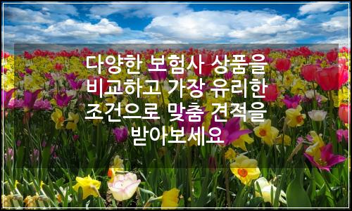오늘의 이미지
