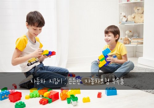 자동차 지킴이 : 든든한 자동차보험 부속품