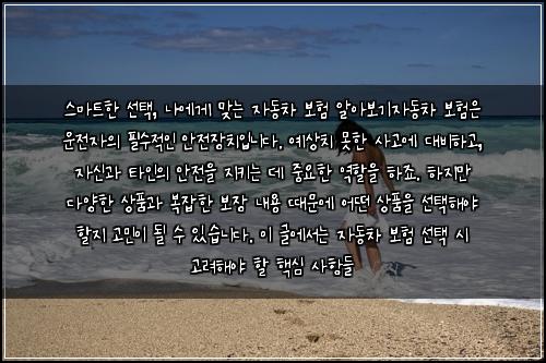  스마트한 선택, 나에게 맞는 자동차 보험 알아보기

자동차 보험은 운전자의 필수적인 안전장치입니다. 예상치 못한 사고에 대비하고, 자신과 타인의 안전을 지키는 데 중요한 역할을 하죠. 하지만 다양한 상품과 복잡한 보장 내용 때문에 어떤 상품을 선택해야 할지 고민이 될 수 있습니다. 이 글에서는 자동차 보험 선택 시 고려해야 할 핵심 사항들