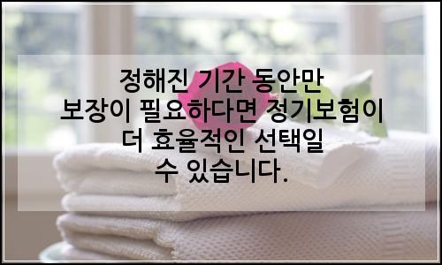 오늘의 이미지