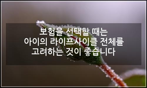 오늘의 이미지