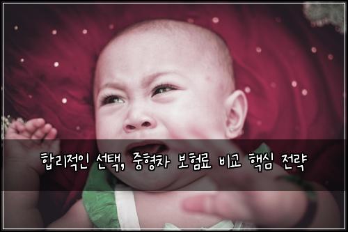 합리적인 선택, 중형차 보험료 비교 핵심 전략