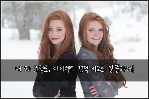  내 차 보험료, 다이렉트 견적 비교로 알뜰하게!
