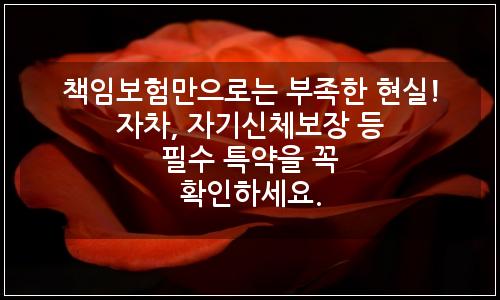 오늘의 이미지