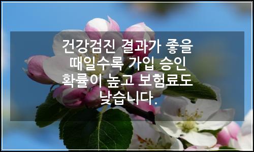 오늘의 이미지
