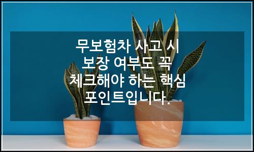 오늘의 이미지