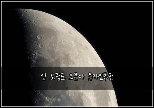 암 보험료 오른다 온라인추천