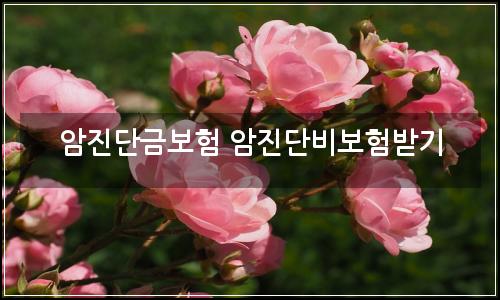 오늘의 이미지