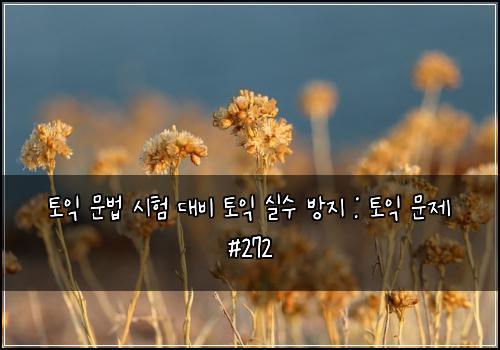 토익 문법 시험 대비 토익 실수 방지 : 토익 문제 #272