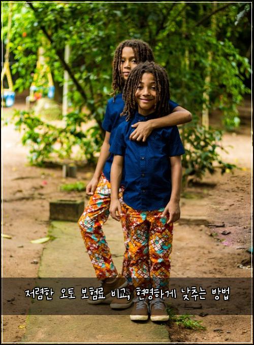  저렴한 오토 보험료 비교, 현명하게 낮추는 방법