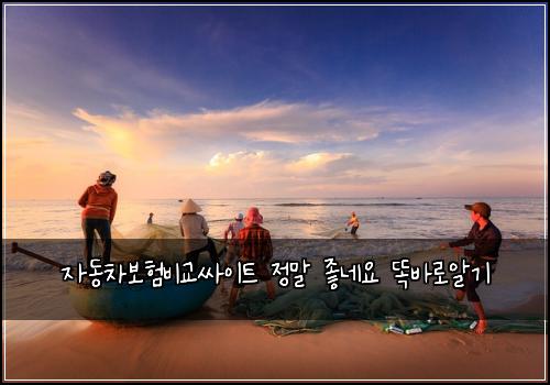 자동차보험비교싸이트 정말 좋네요 똑바로알기
