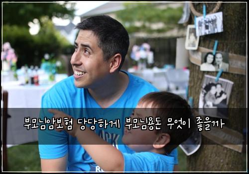 부모님암보험 당당하게  부모님용돈 무엇이 좋을까