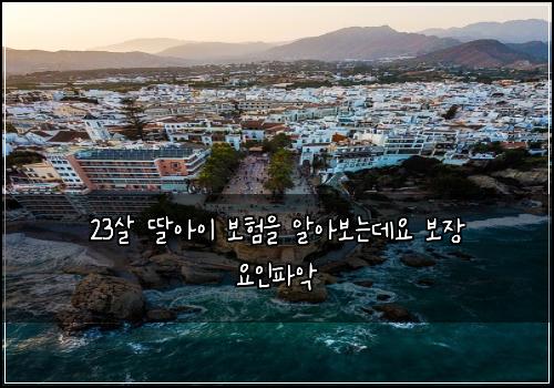 23살 딸아이 보험을 알아보는데요 보장 요인파악