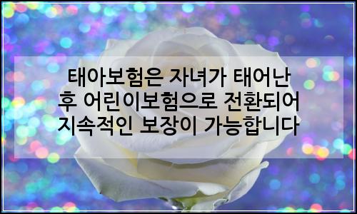 오늘의 이미지