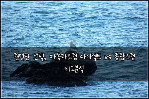  현명한 선택, 자동차보험 다이렉트 vs 종합보험 비교분석