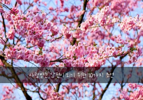 사랑받는 남편이 되기 위한 10가지 조언