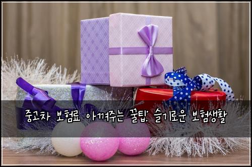 중고차 보험료 아껴주는 꿀팁: 슬기로운 보험생활