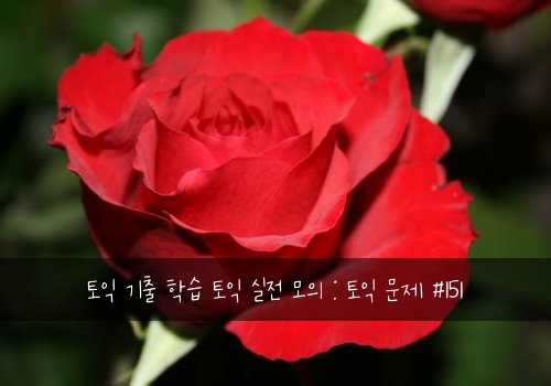 토익 기출 학습 토익 실전 모의 : 토익 문제 #151