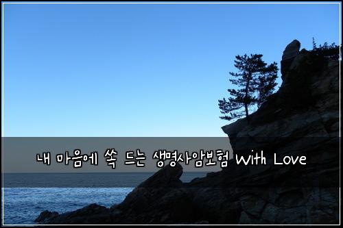  내 마음에 쏙 드는 생명사암보험 With Love