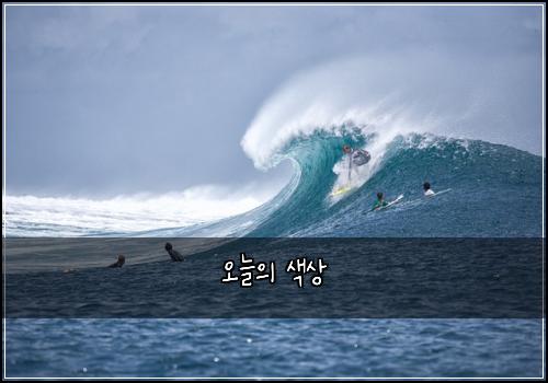 오늘의 색상