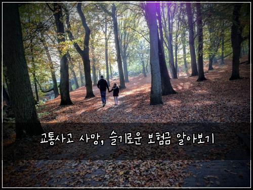  교통사고 사망, 슬기로운 보험금 알아보기