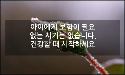 오늘의 이미지