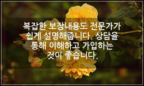 오늘의 이미지