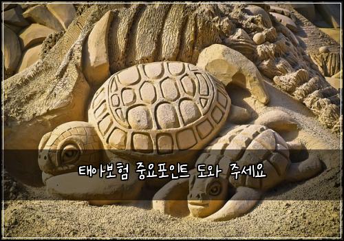 태아보험 중요포인트  도와 주세요