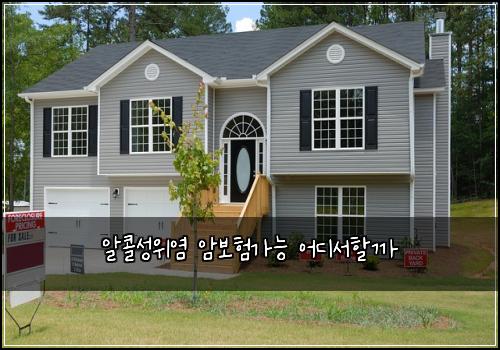 알콜성위염 암보험가능 어디서할까