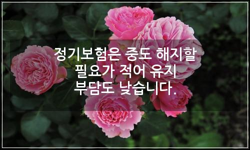 오늘의 이미지