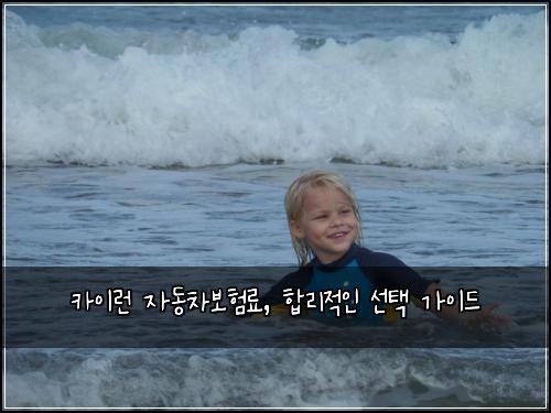 카이런 자동차보험료, 합리적인 선택 가이드