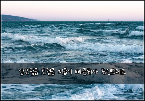암보험금 보험금 지급이 빠른회사 포인트체크