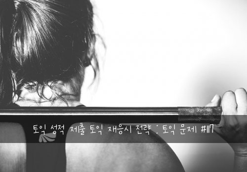 토익 성적 제출 토익 재응시 전략 : 토익 문제 #117