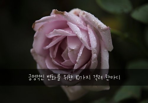 긍정적인 변화를 위한 10가지 격려 한마디