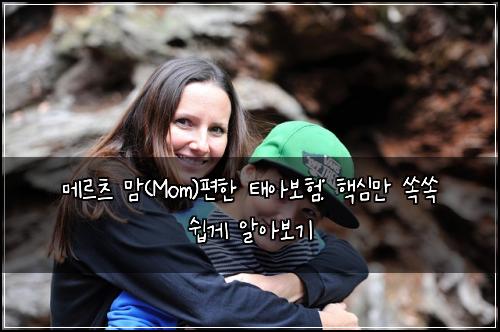 메르츠 맘(Mom)편한 태아보험: 핵심만 쏙쏙 쉽게 알아보기