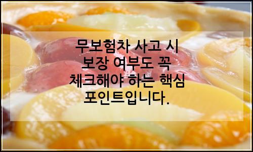 오늘의 이미지