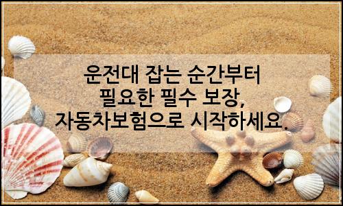 오늘의 이미지