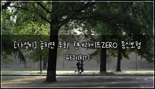  [가성비] 놓치면 후회! 현대라이프ZERO 종신보험 파헤치기